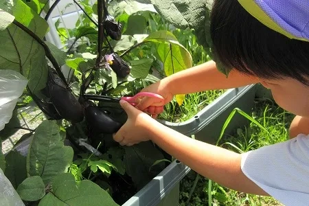 認定こども園 つくし幼保園