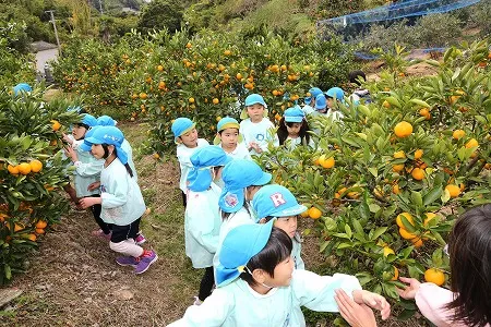 認定こども園 つくし幼保園